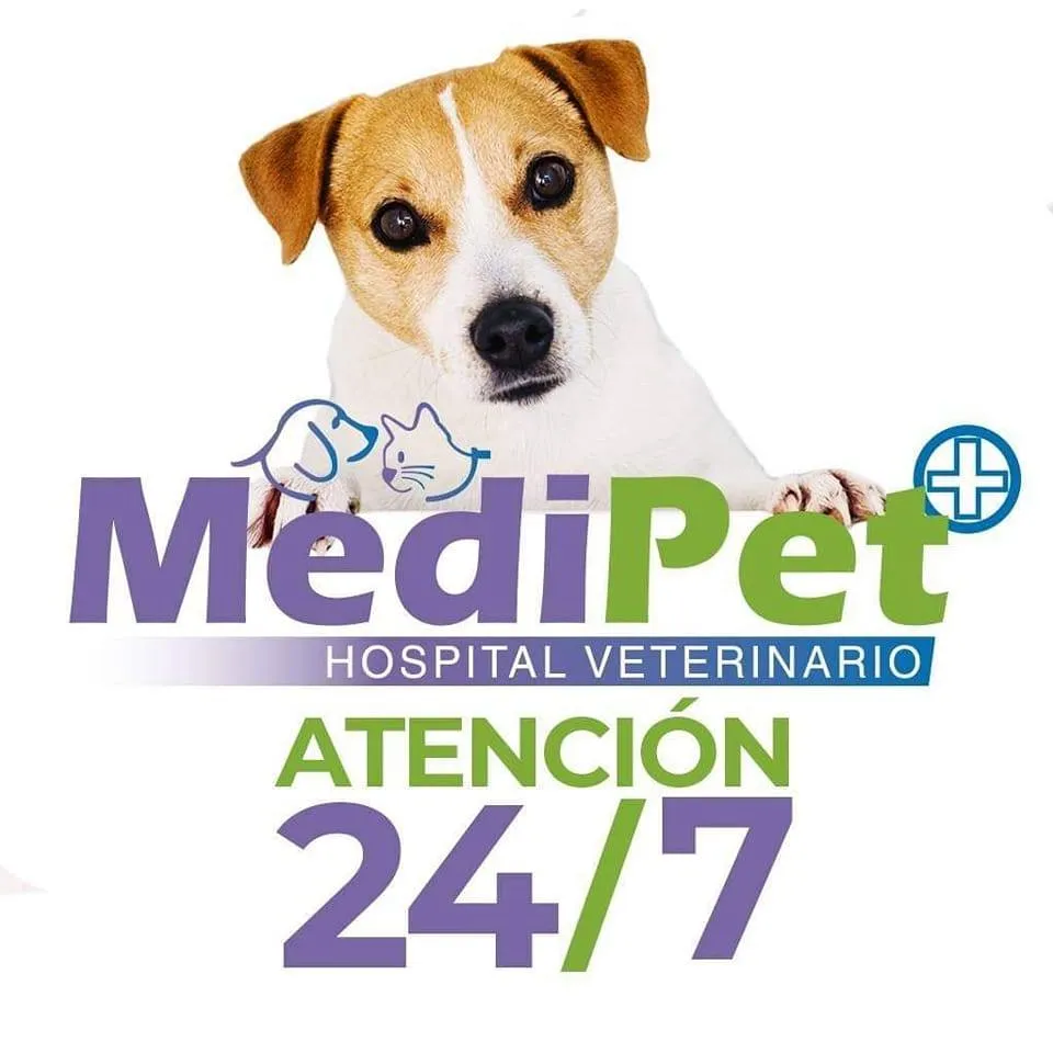 Medipet Hospital Veterinario