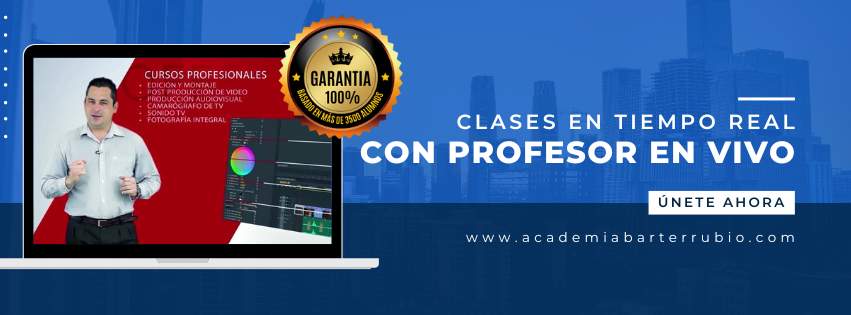 clases online con profesor en vivo