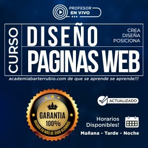 Curso de Diseño de Paginas Web USA