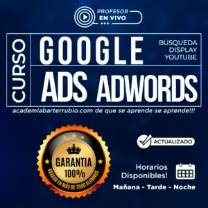 Curso Google Ads Puerto Rico