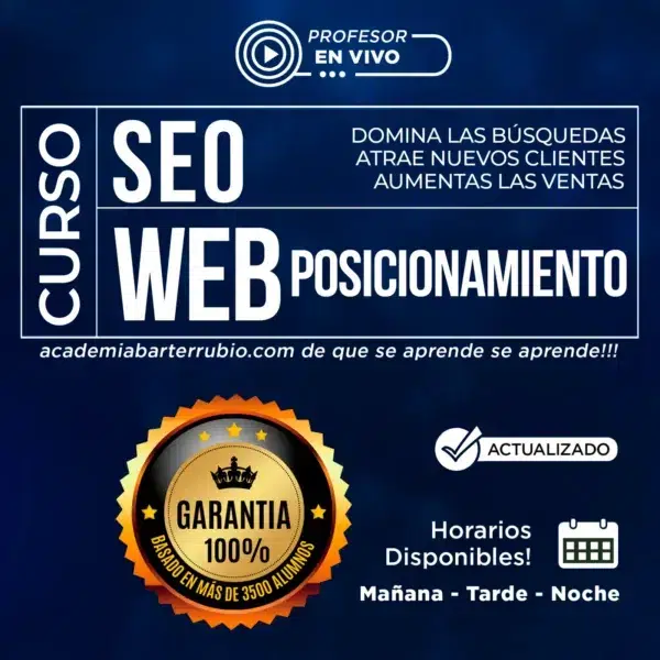CURSO DE SEO Y POSICIONAMIENTO WEB Boise