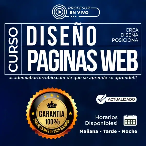 Curso Diseño de Paginas Web USA Boise